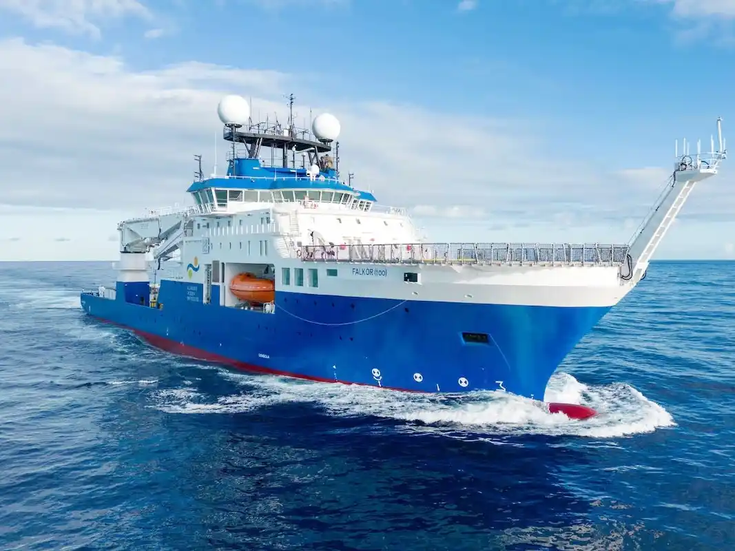 Campaña internacional revela especies y secretos del fondo marino argentino y uruguayo