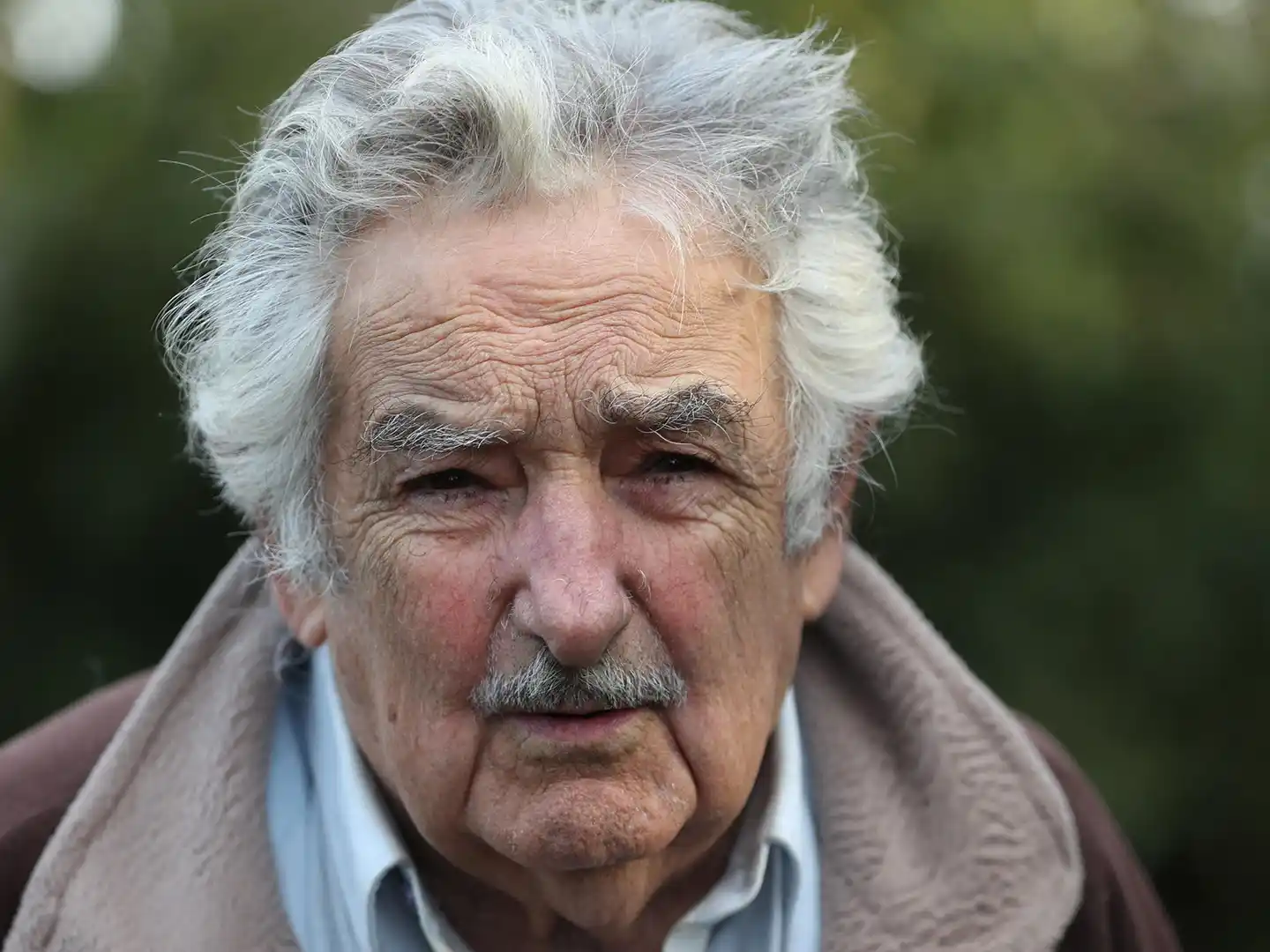 “Los más supuestos revolucionarios no han renunciado a las mieles que desató el capitalismo”