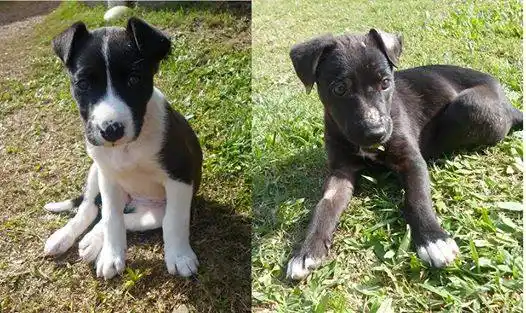 Morita y Dana están esperando una familia