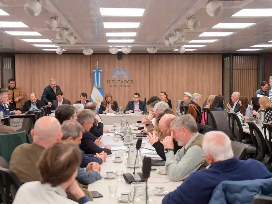 Comienza el tratamiento de la ley de Soberanía Nacional con la presencia de funcionarios del gobierno