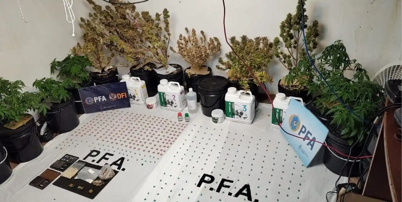 Caen dealers con un cargamento de éxtasis en la antesala de una fiesta electrónica