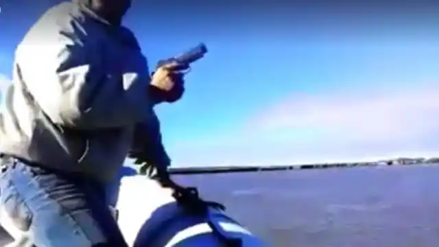 Video del horror: matanza indiscriminada de jabalíes en el río Uruguay