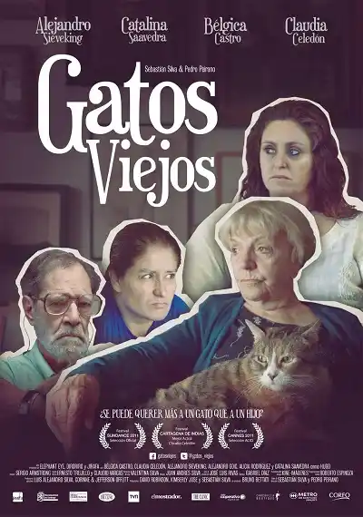 Alea presenta el filme chileno “Gatos viejos”