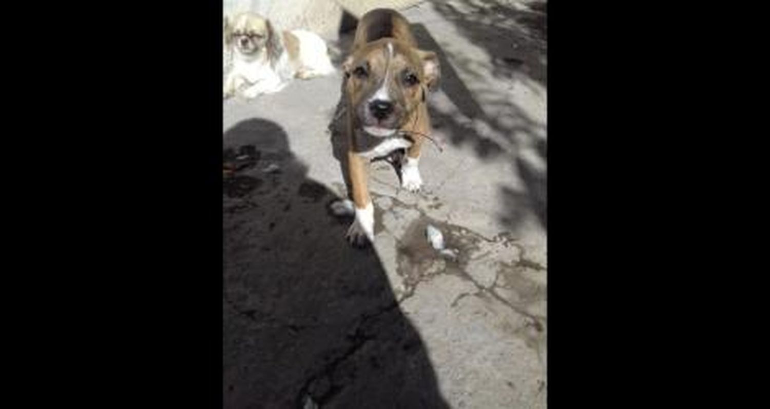 Se busca