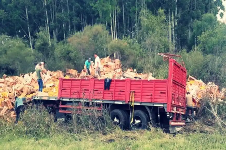 Volcó un camión y desparramó cajas repletas de cítricos al costado de la ruta