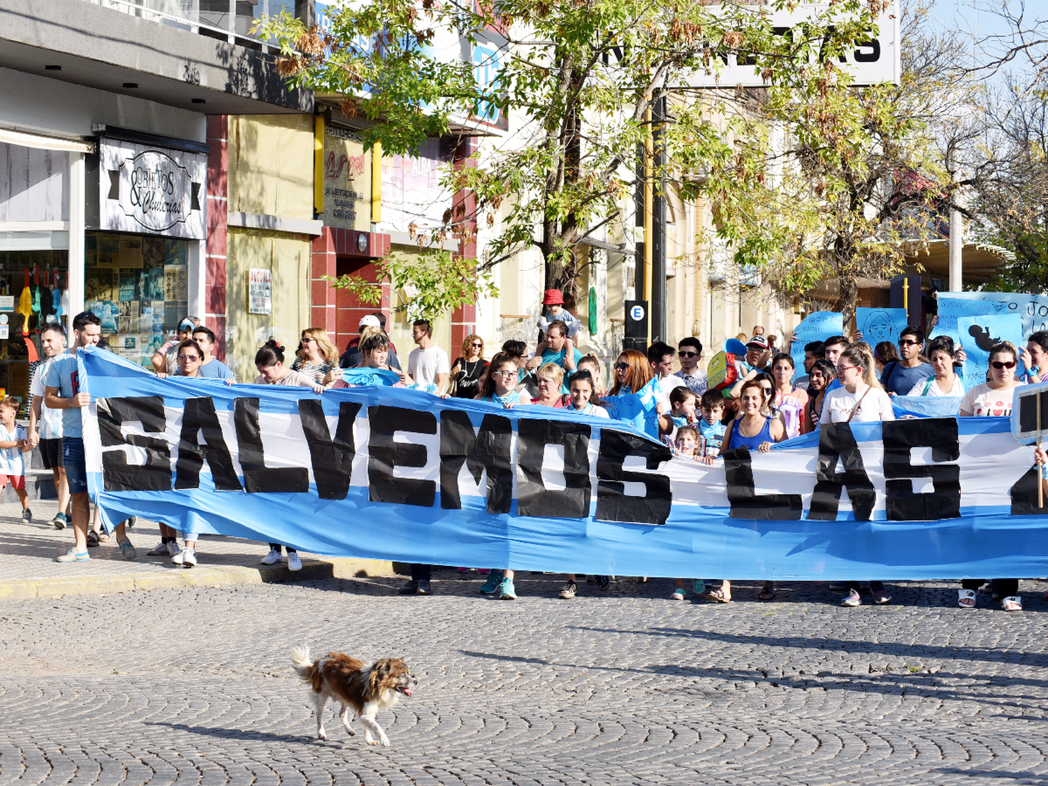 Para “defender a quienes no tienen voz”, grupos “Pro vida” marcharon por el centro