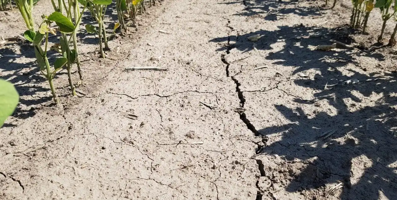 Por la sequía, la industria en la provincia se retrajo fuerte en abril