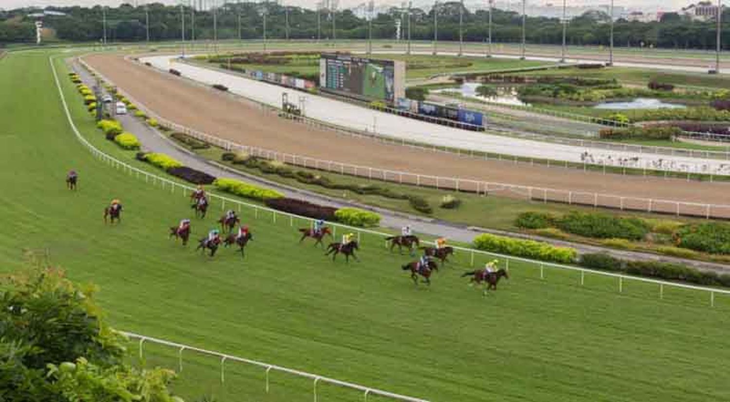 Viernes 15: Actividad Hipódromo de San Isidro