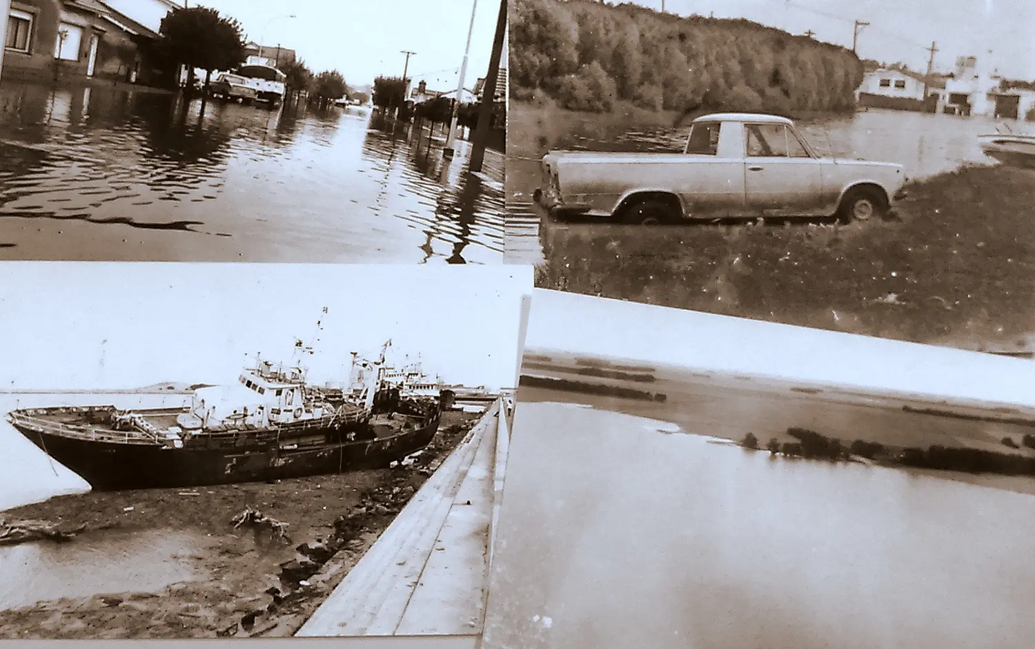 Antes del coronavirus, la gran inundación