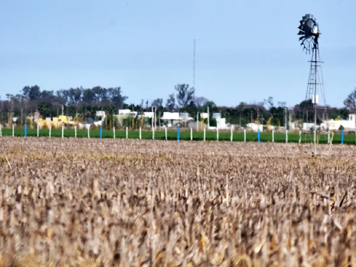 Alquileres agrícolas: San Justo pagó medio quintal menos que el año pasado          