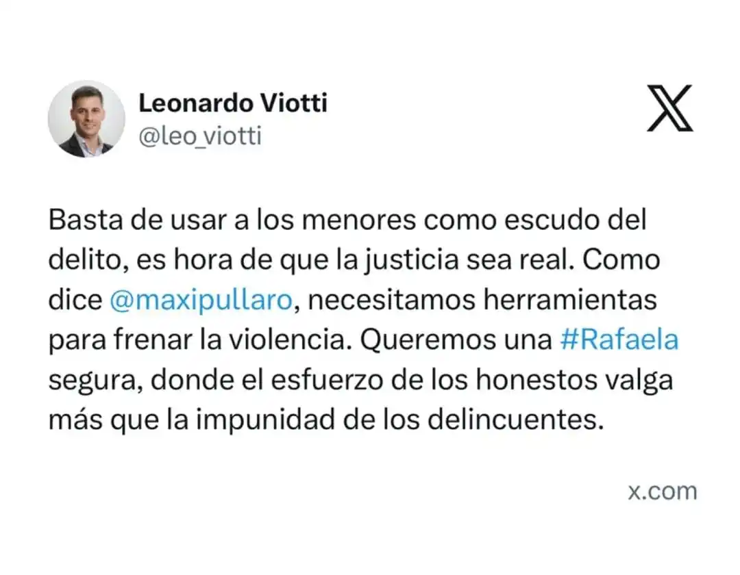 Viotti respaldó la baja de la edad de imputabilidad y reclamó una justicia “real” para frenar la violencia