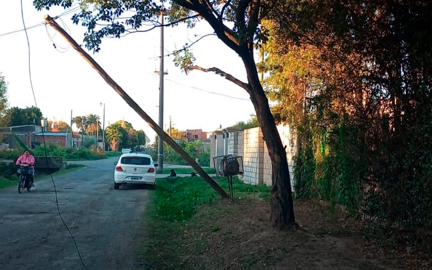 Peligro: poste a punto de caer en Noseda