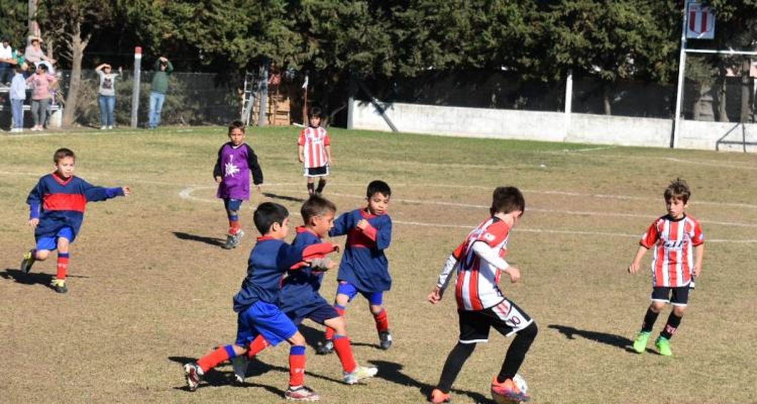 Tras 16 años, la Liga Infantil organiza un Provincial