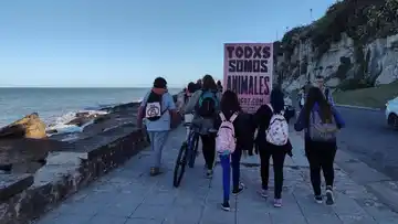 En el Día Mundial del Veganismo, convocan a marchar en Mar del Plata
