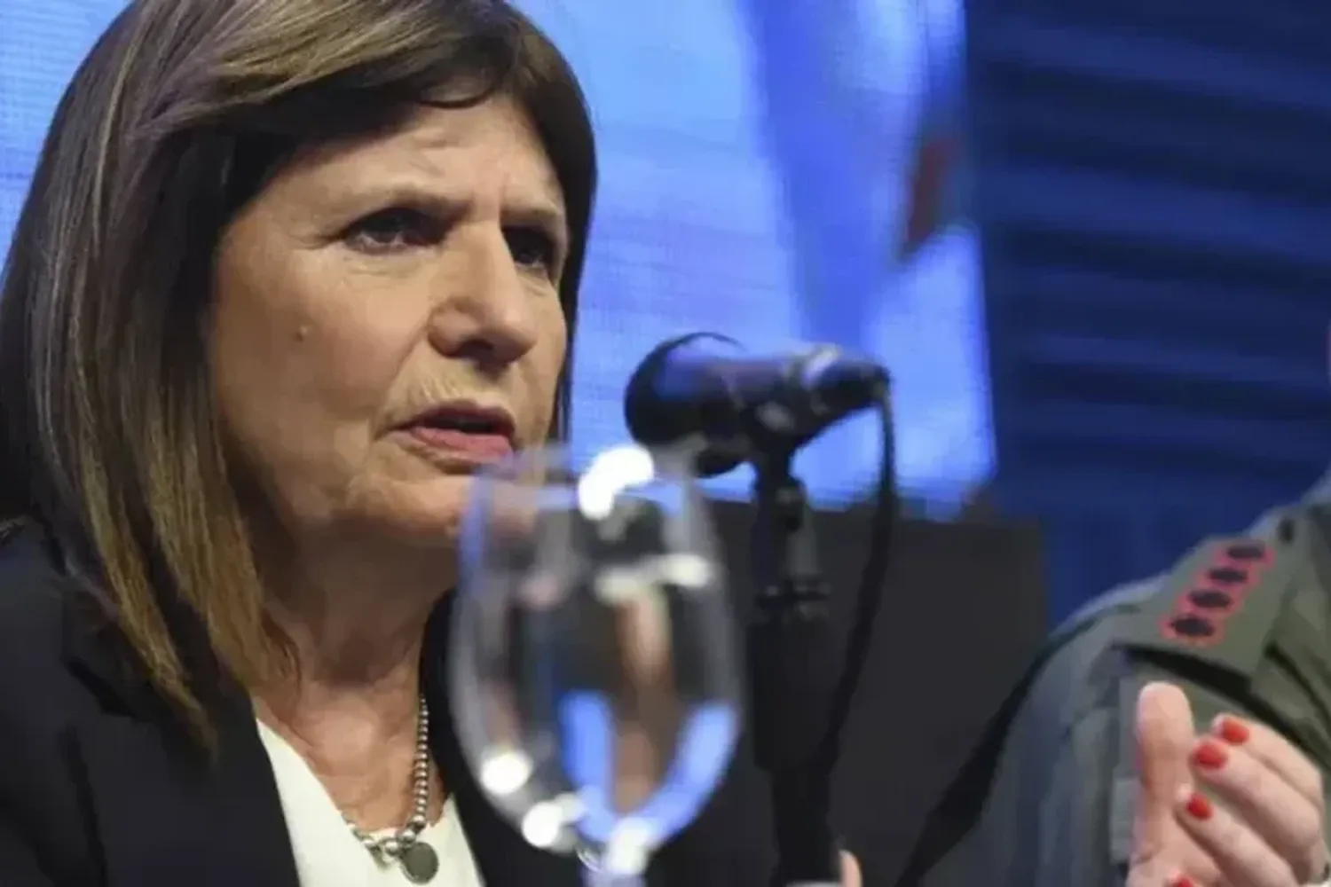 La insólita definición de Bullrich sobre Chubut: “No vive nadie, nada más que un millón de guanacos”