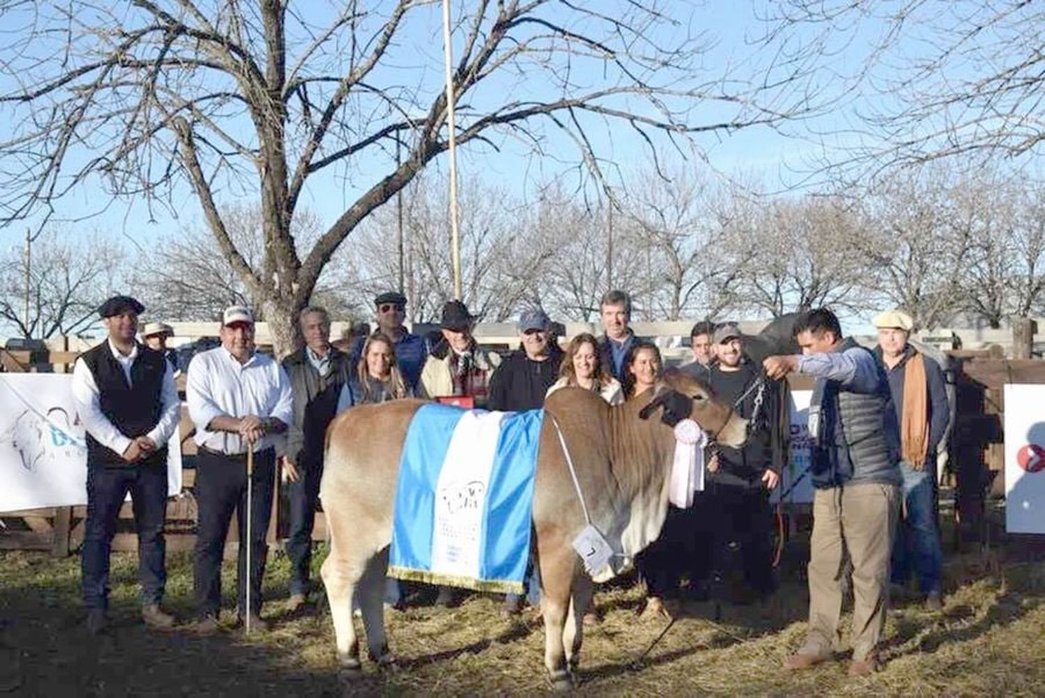 Cabaña de Las Lomitas obtuvo el 1° premio en Exposición Nacional de la Raza Brahman