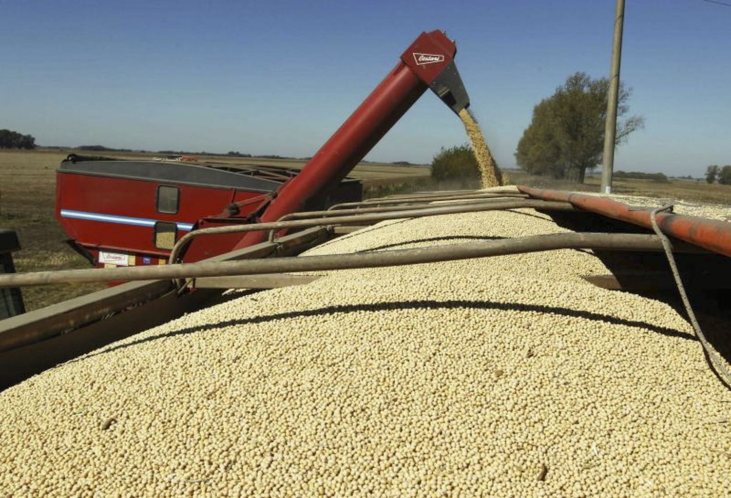 La recaudación por retenciones al agro se incremento un 80 por ciento este año