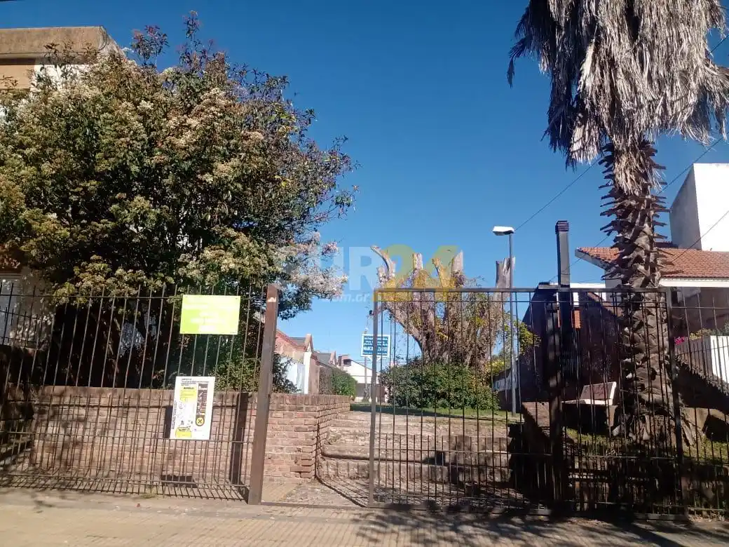 Rostom pide vender el solar Marcos Zar y adquirir 60 lotes para Nuestro Terreno