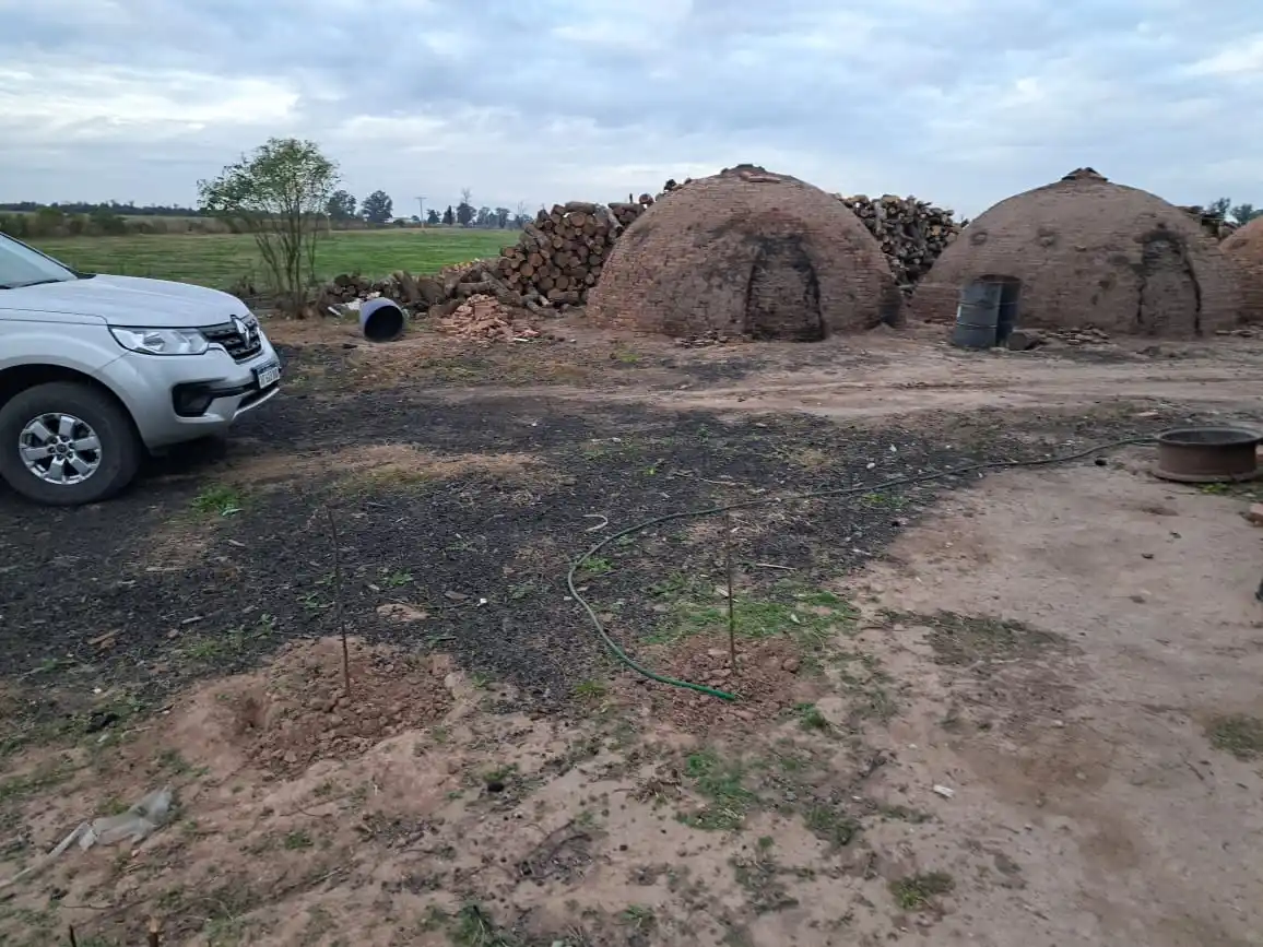 Sueldos bajos y sin ropa de trabajo: detectaron múltiples irregularidades laborales en zona rural de la región