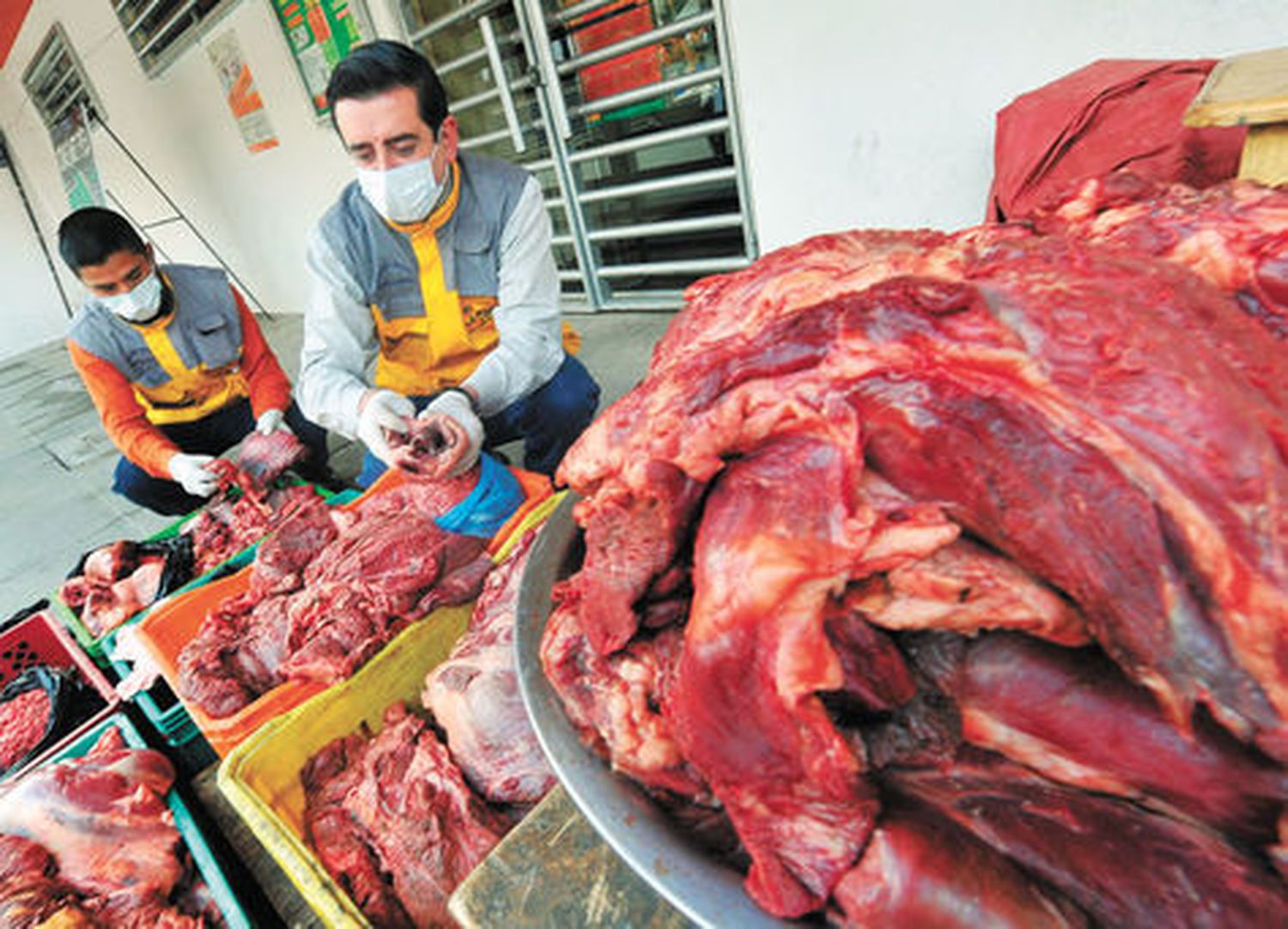 La Brigada de Colón decomisó 200 kilos de carne clandestina y vencida
