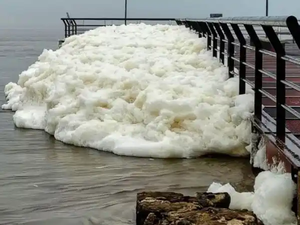 Una capa de espuma blanca cubrió la costanera en una ciudad de Entre Ríos: a qué se debe este fenómeno