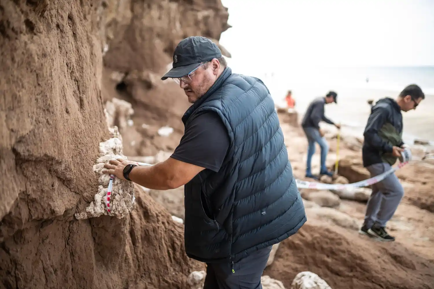 El gliptodonte fue hallado en la costa, al sur de Mar del Plata.
