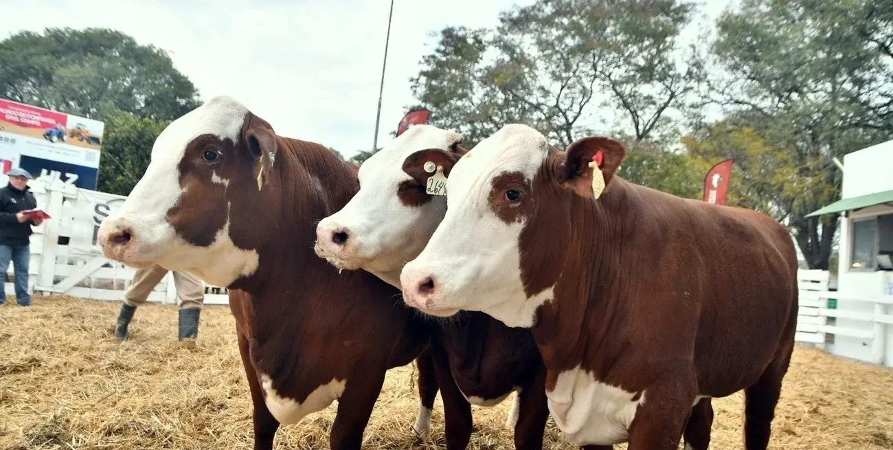 La Sociedad Rural de San Justo se desarrollará entre el 15 y el 18 de agosto bajo el lema "Una pasión que crece".