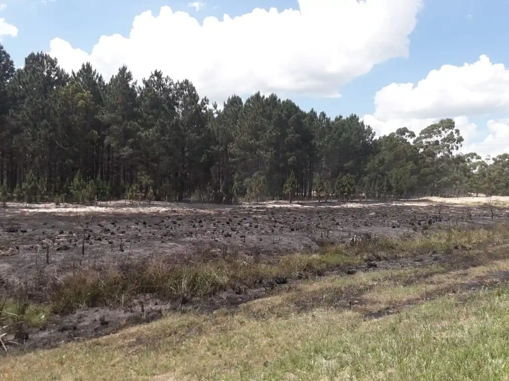 Bomberos de Ceibas y Gualeguay, juntos contra un intenso incendio en Ruta 12