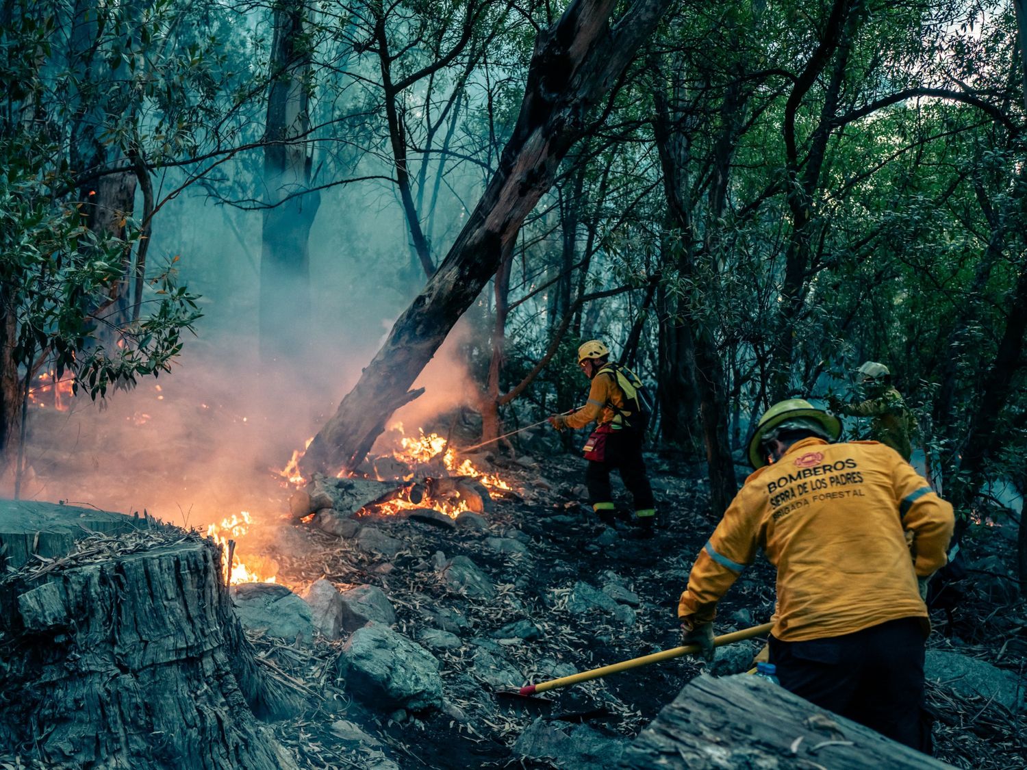 Solamente hoy se contabilizaron 30 incendios en General Pueyrredon