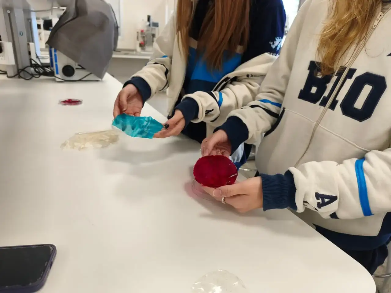 feria de ciencias