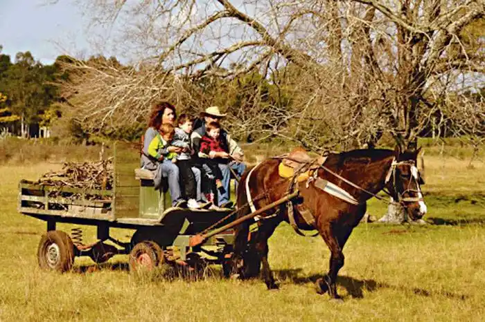 DÍA DE CAMPO: ARTE Y TURISMO RURAL