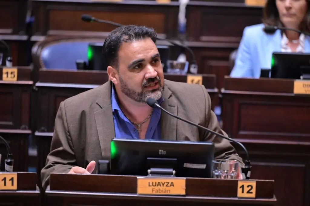 Luayza planteó la necesidad de una “actualización real” del marco vigente.