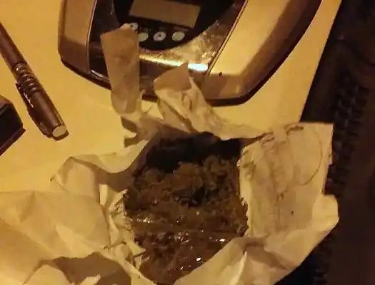 Un perro encontró marihuana en un auto y el conductor fue liberado 