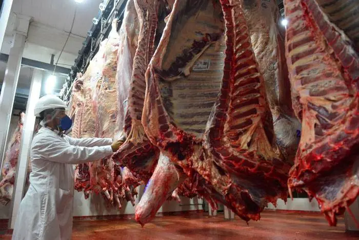 El Gobierno nacional planteará un plan para el sector de la carne