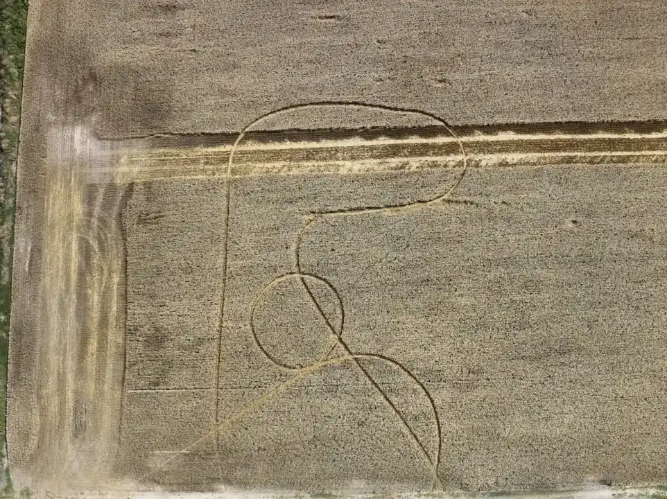 Aparecieron misteriosas figuras en dos campos del norte santafesino y generó desconcierto entre los productores