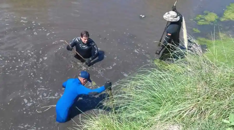 Hay restos de tela y cabellos en la zona donde apareció el menor mutilado
