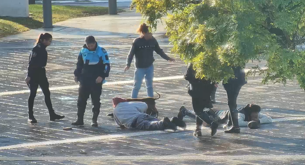 A la cárcel después de intentar forzar el ingreso a una casa (Video)
