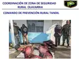 Arrestaron a dos hombres con carne faenada: Uno de ellos tenía pedido de captura