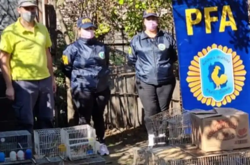 La PFA continúa realizando operativos contra el maltrato animal y la conservación de la fauna