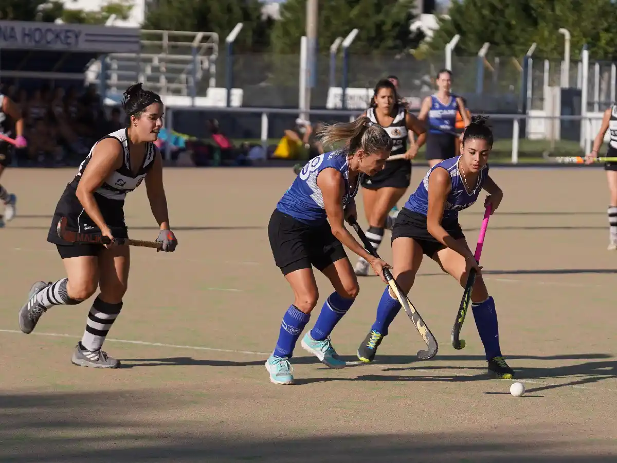 Antártida se alista para vivir una atrayente jornada en su casa