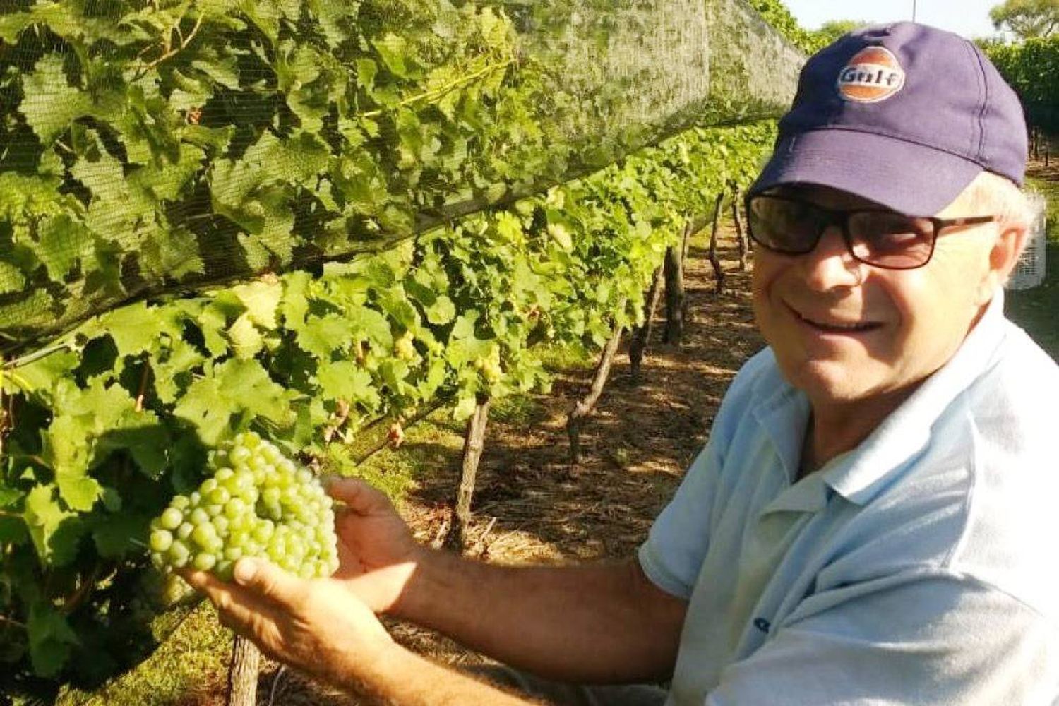 Los Ianni se animaron a todo: a vivir en el campo y a elaborar vinos en Entre Ríos 