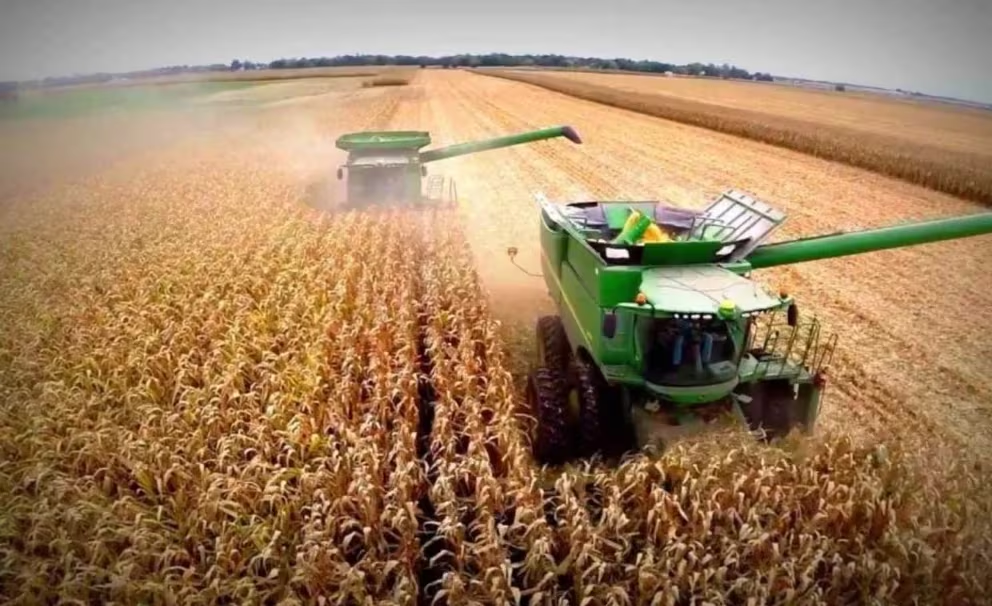 Lideraron las exportaciones las manufacturas de origen agropecuario, que fueron el 40,9% de los envíos al exterior.