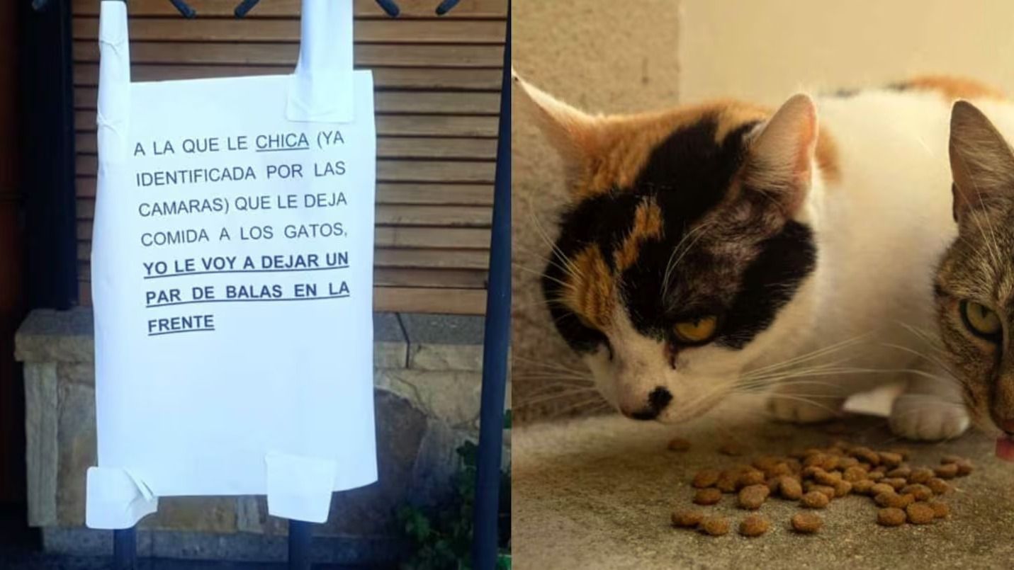 El cartel con amenazas explícitas apareció en una reja de 64 entre 8 y 9, en La Plata. (Foto: gentileza El Bonaerense).