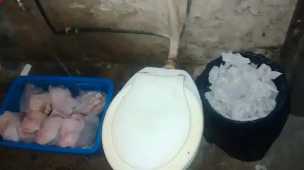 Increíble: Un comercio guardaba un cajón de pollos al lado del inodoro