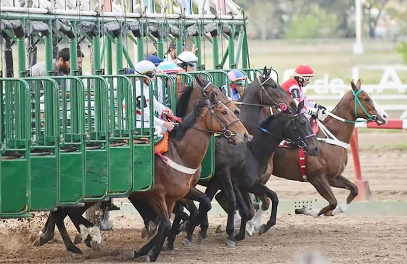 Martes 23: Actividad Hipódromo de La Plata