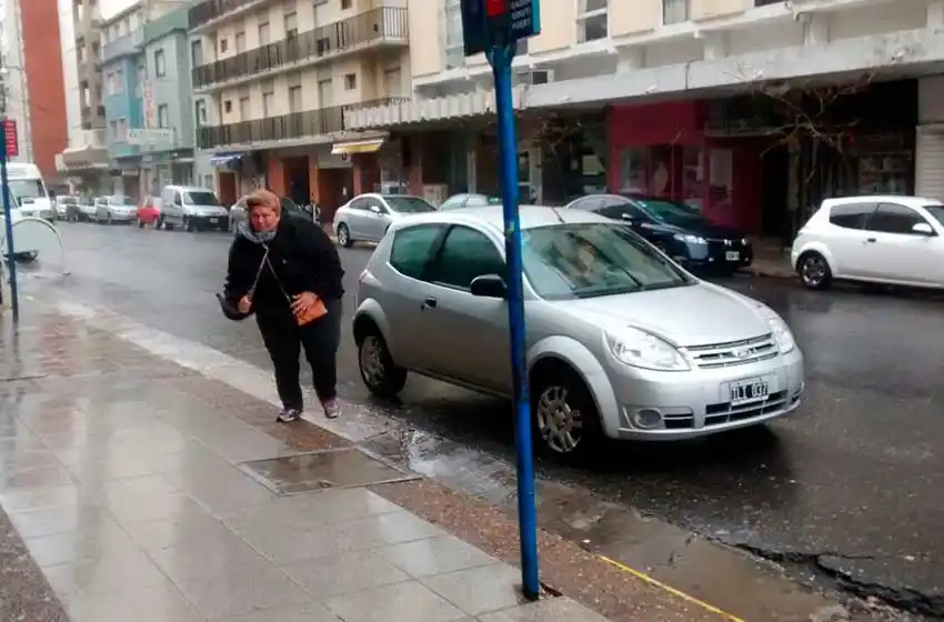 El viento hace estragos en Mar del Plata: árboles caídos y techos volados