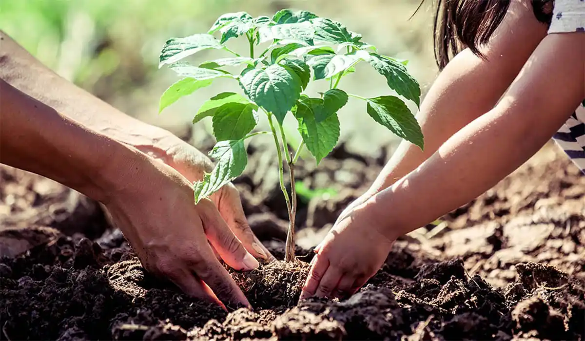 Día de la Tierra 22 de abril 2024: un recordatorio para reforzar el compromiso sustentable