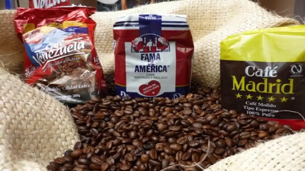 MÁS DE 20 AÑOS DE DESIDIA chavista convirtieron a los caficultores en sobrevivientes