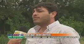 Juan Verliac: “no hay controles de prevención de HLB en la provincia de Entre Ríos”