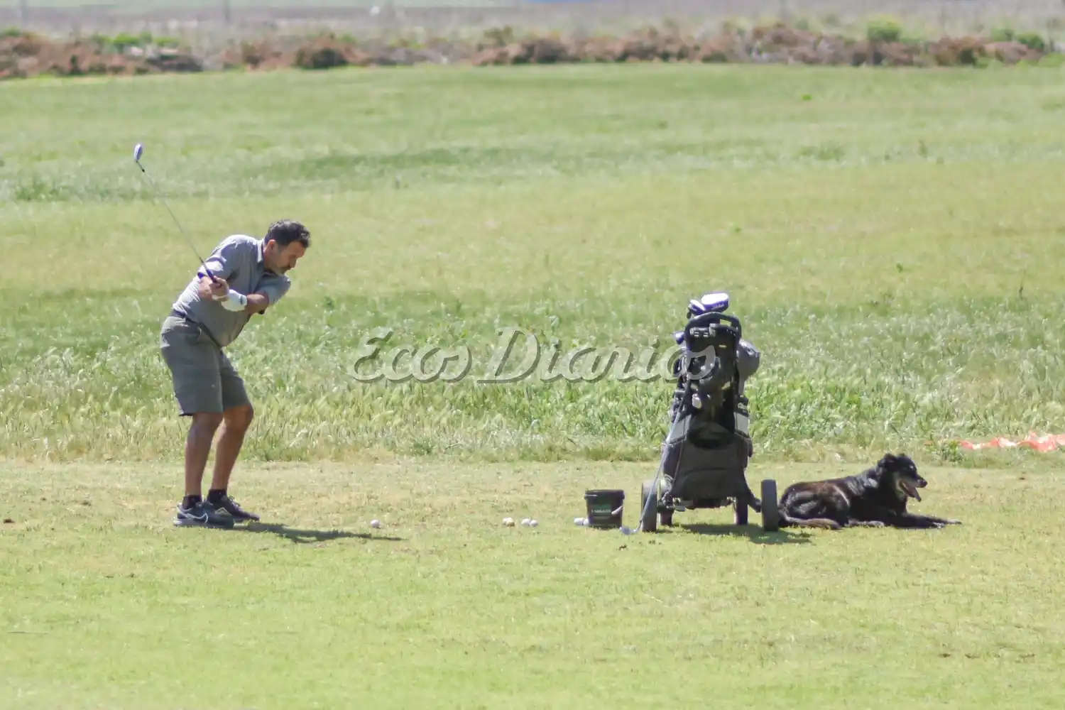 Gran convocatoria de fin de semana en el Necochea Golf Club (foto de archivo)